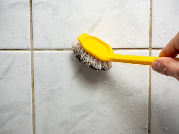 Best Toxic Mold Removal  in Wildomar, CA