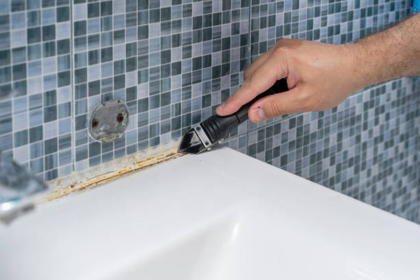 Best Mold Damage Repair  in Wildomar, CA