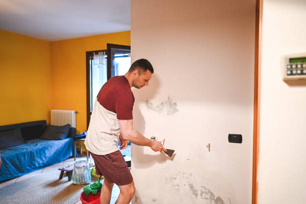 Home Mold Removal in Wildomar, CA